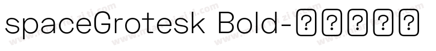 spaceGrotesk Bold字体转换